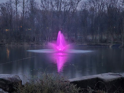 North Jersey Pond Services