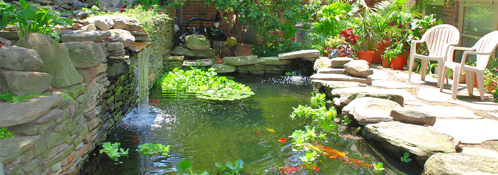 Ponds - North Jersey