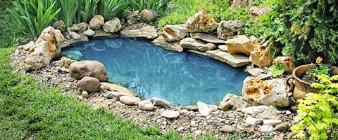 Koi Ponds Contractor in North Jersey